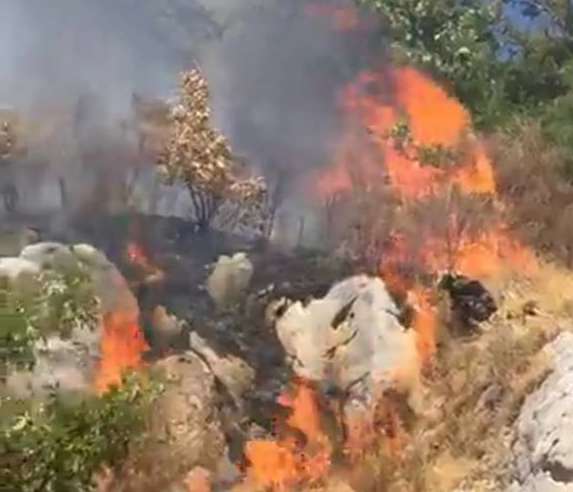 L’Irpinia continua a bruciare: ancora roghi a Montevergine L’Irpinia continua a bruciare: ancora roghi a Montevergine