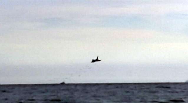Caccia militare in mare durante show Caccia militare in mare durante show