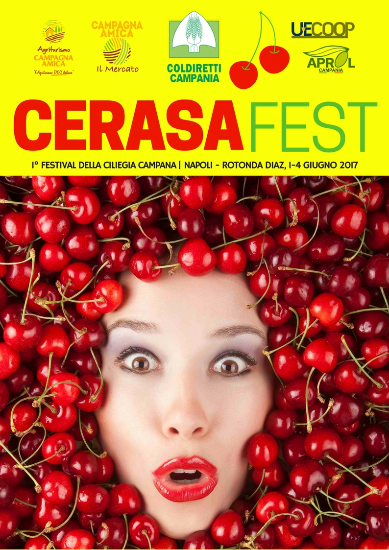 CERASAFEST