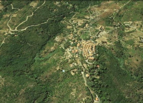 anziana dispersa