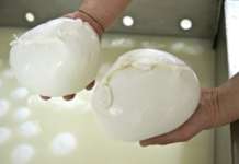 Fiera di Colonia, il Consorzio della Mozzarella Dop in missione in Germania