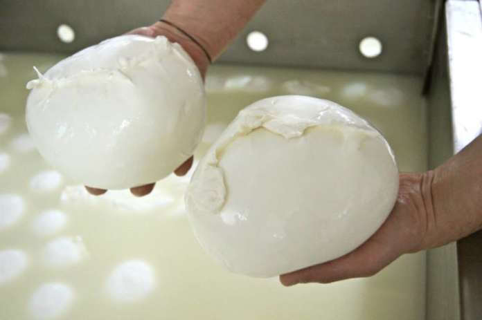 mozzarella