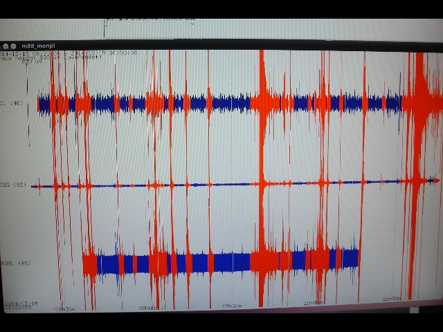 scossa terremoto