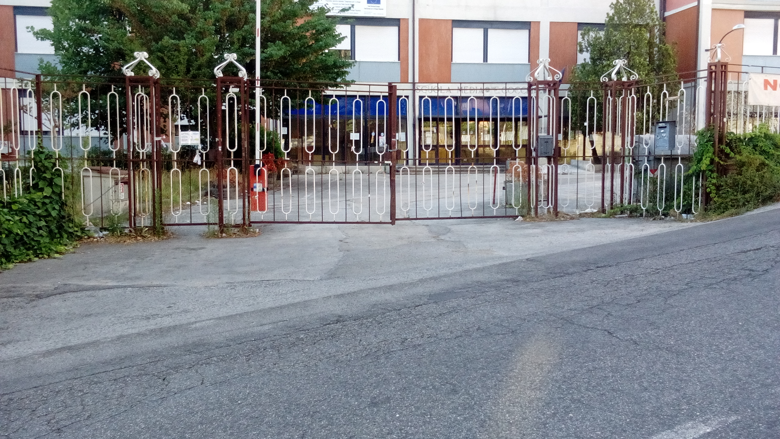 scuola media Enrico Cocchia