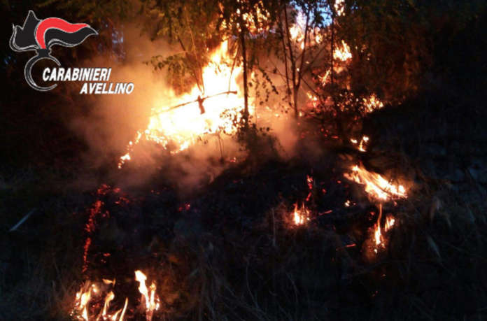 Incendi Avellino