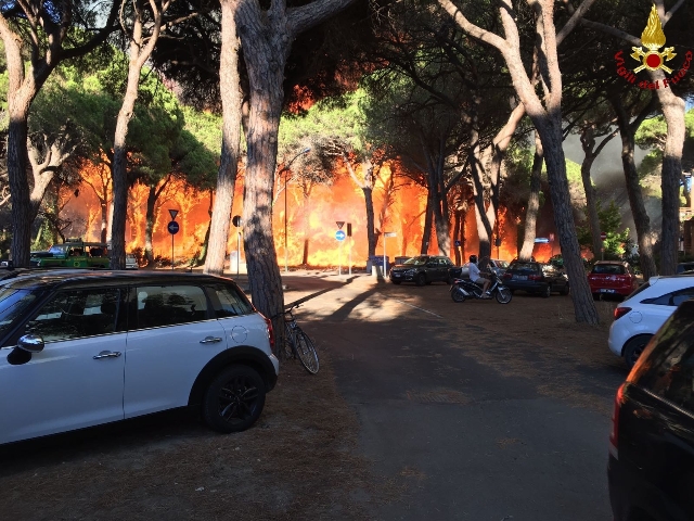 incendio grosseto