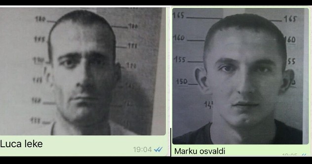 evasione