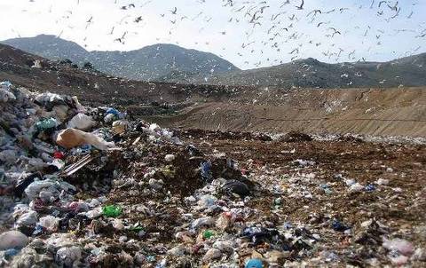 Discarica Roma