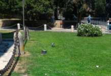 Atti vandalici all’Arco di Traiano, la rabbia della Gesesa