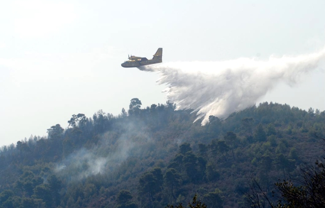 Incendi Gargano