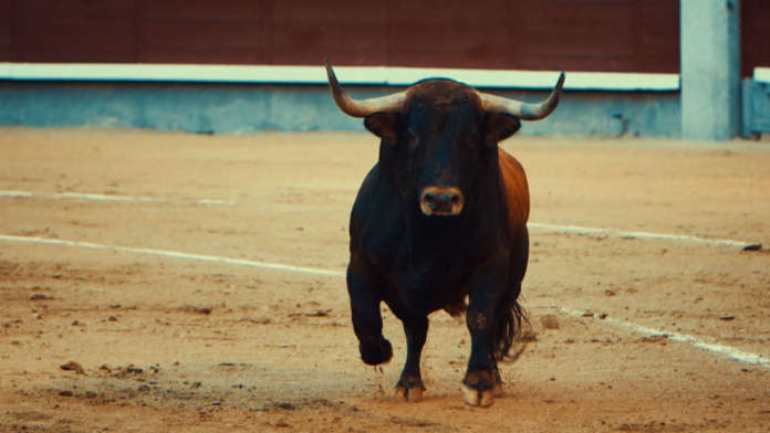 Toro