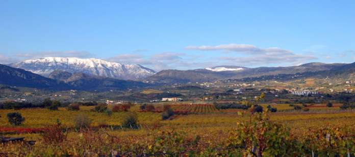castelvenere
