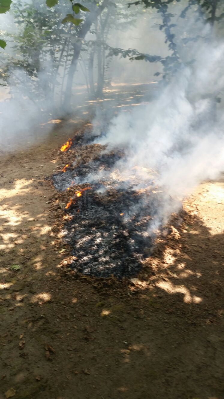 foto incendio setrpaglie