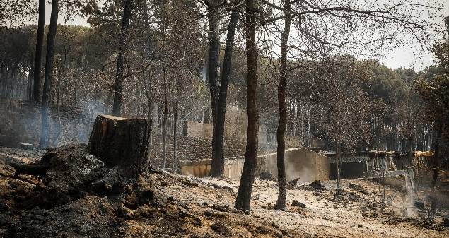 incendi
