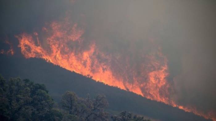 incendio-cilento
