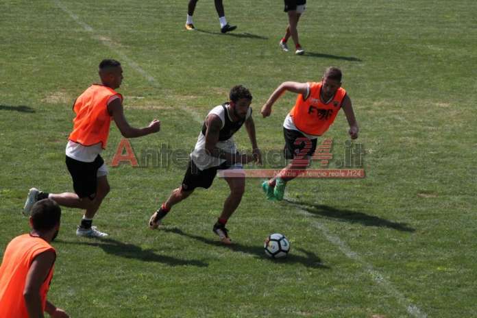 131-Cataldi-in-azione