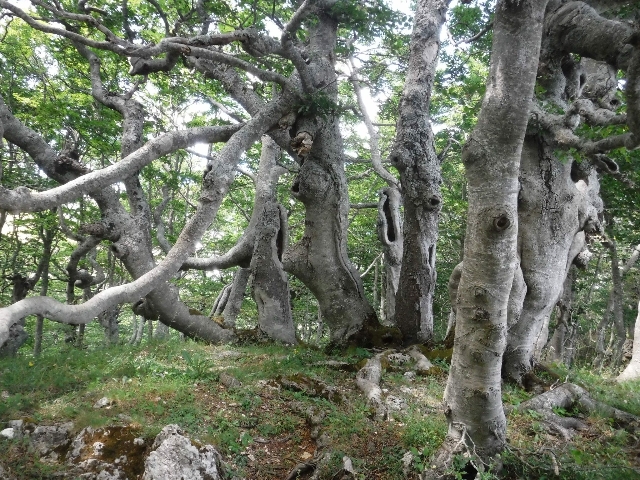 monte cervati salerno