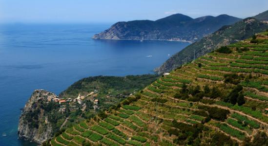 Cinque Terre