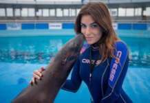 Gessica Notaro attaccata su facebook sulla chiusura del delfinario