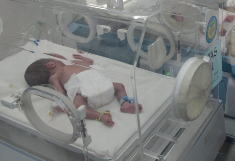 Neonato