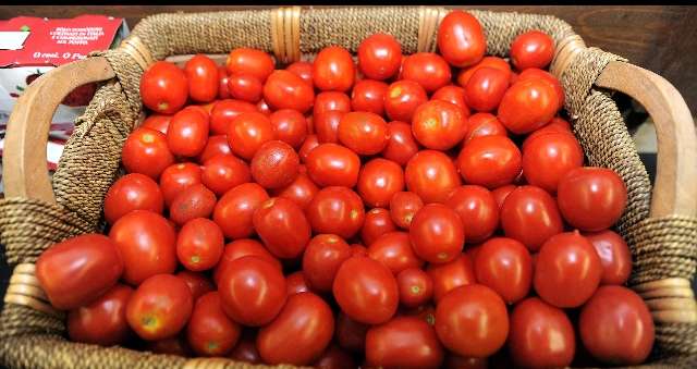 Pomodorino
