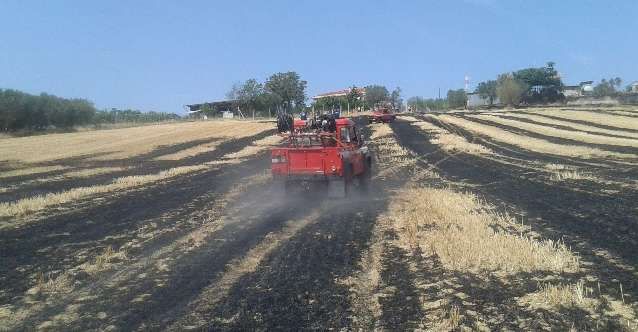 Rogo in campo