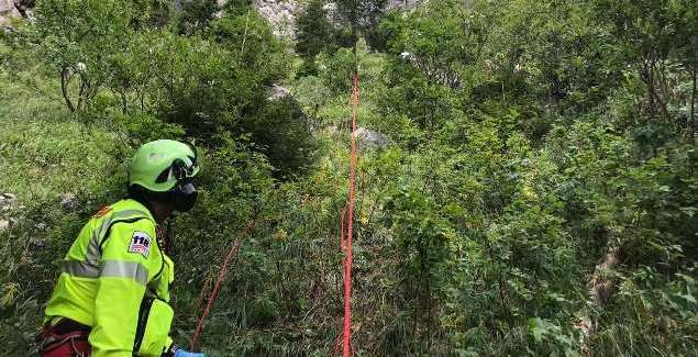intervento bosco