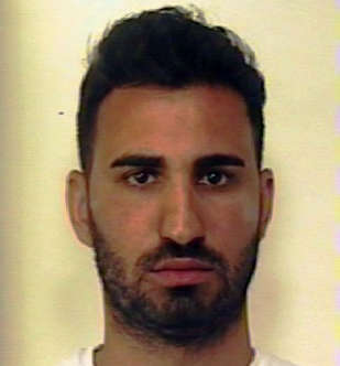luca pini