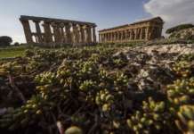 Domenica in Archeotreno, viaggio d’epoca Napoli-Pompei-Paestum