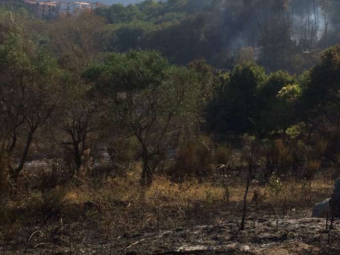 pineta brucia a summonte