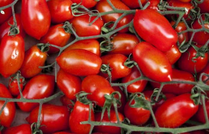 pomodori
