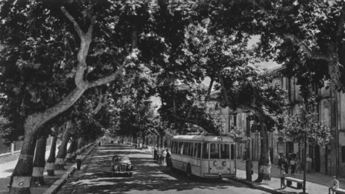viale italia
