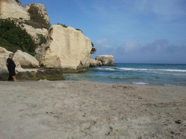 mare
