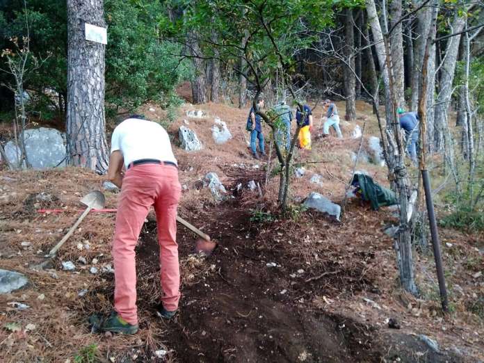 Cava - lavori manutenzione boschiva (2)