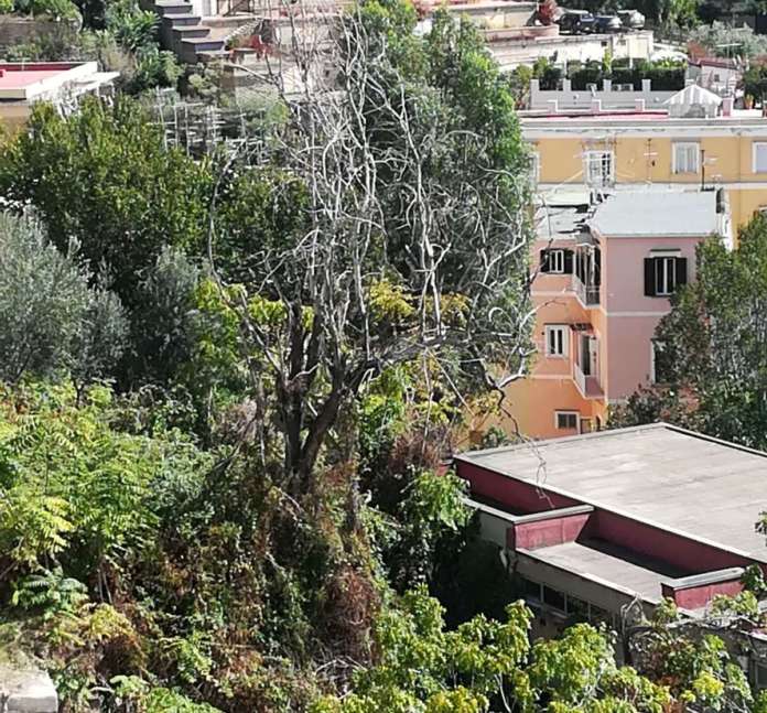 Scuola Maria Cristina di Savoia