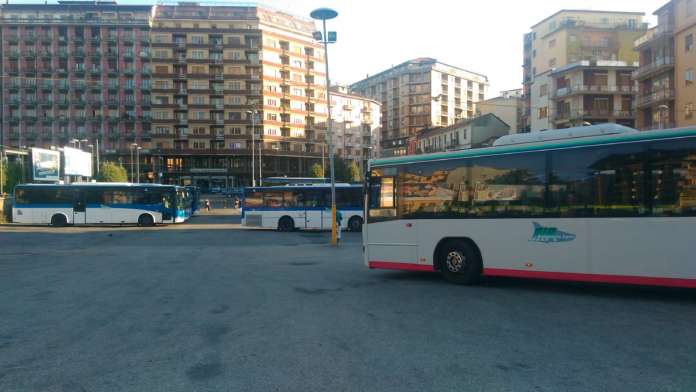 bus