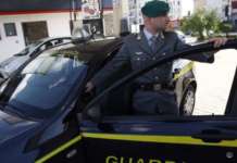 Droga: piante canapa e cocaina in terreno nel Napoletano