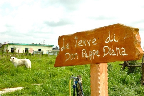 le-terre-di-don-peppe-diana