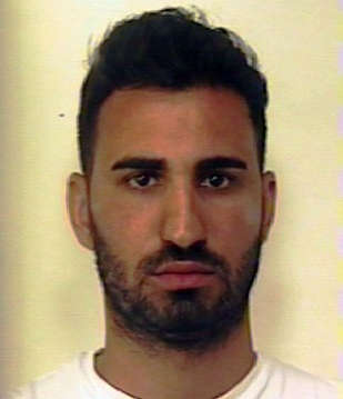 luca pini