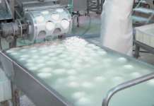 Mozzarella di bufala dop, a fine ottobre al via il primo corso per casari