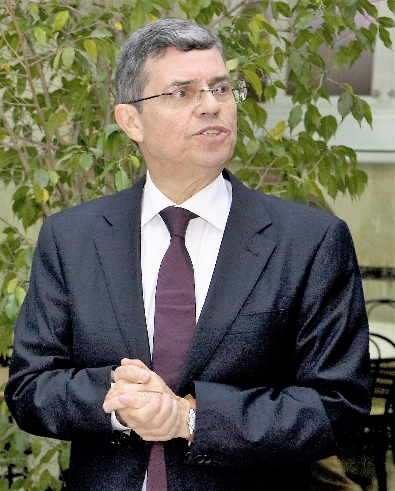 pisani