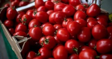 pomodoro