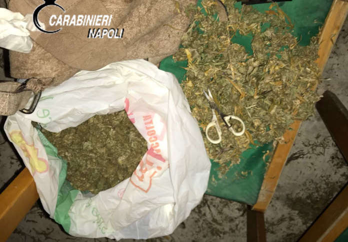 LA DROGA PRONTA PER LO SMERCIO