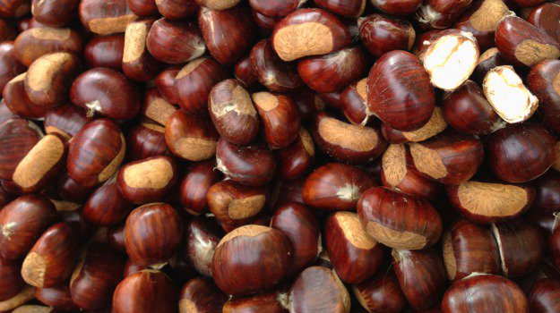 castagne-625x350