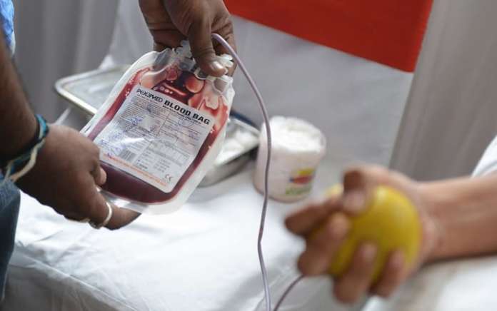 sangue