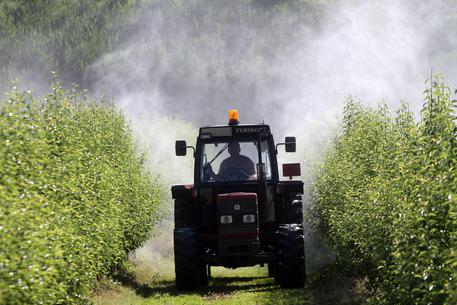 CIA, AGRICOLTURA STRATEGICA MA VIAGGIA AL 50% DEL POTENZIALE