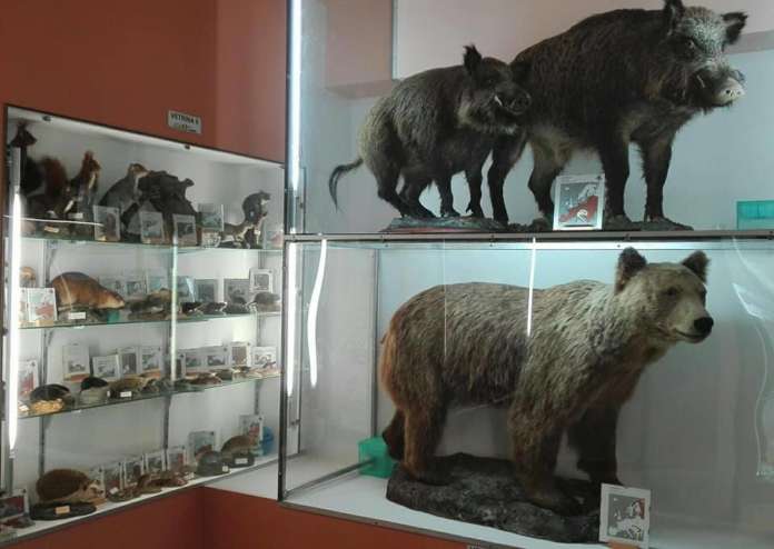 museo corleto