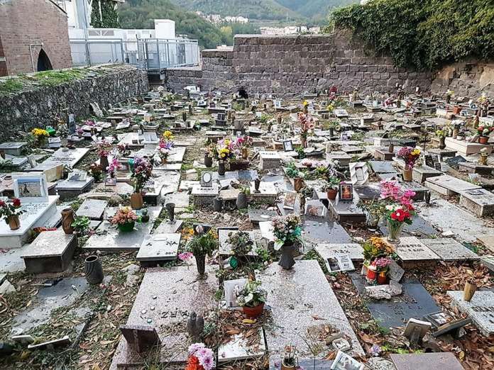 Cimitero Animali 1