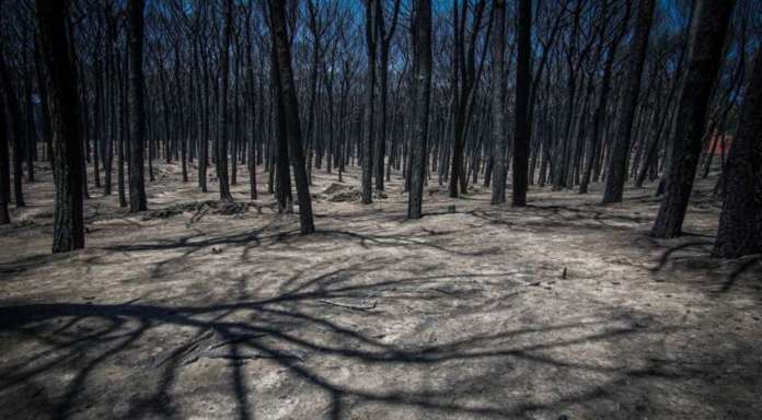 Incendi: ancora roghi sul Vesuvio