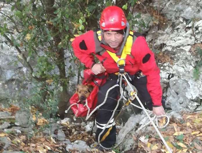 Cucciolo dirupo Vigili del Fuoco